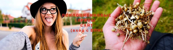 гидропоника Липки