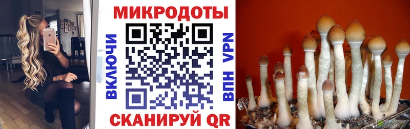 Купить где  Лянтор  Псилоцибиновые грибы прущие грибы 